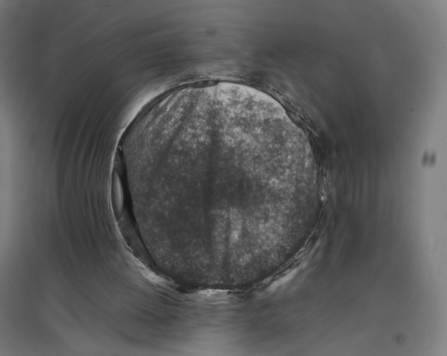 X0000096730052200803041231