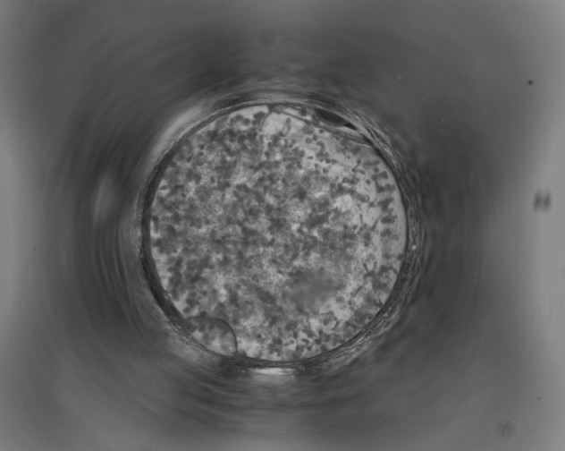 X0000096730053200803041231