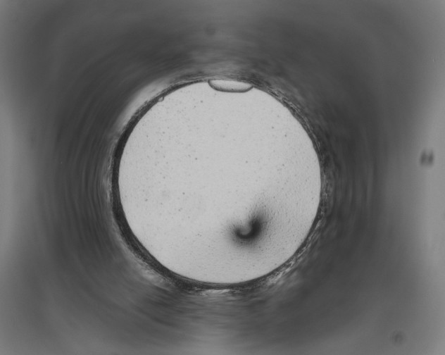 X0000096730054200803041231