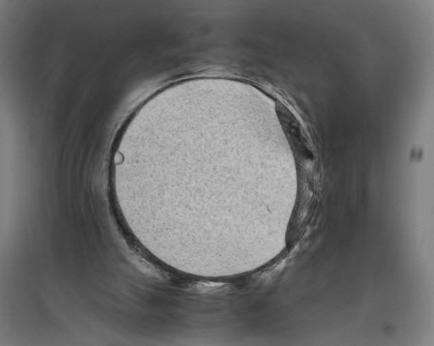 X0000096730055200803041231