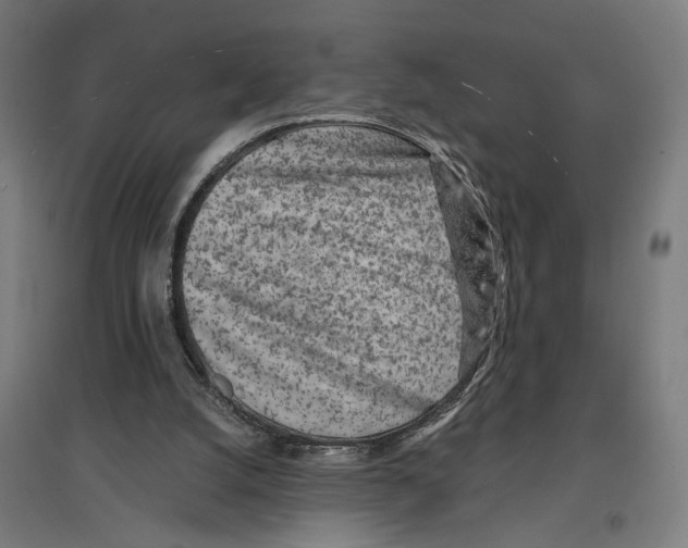 X0000096730056200803041231