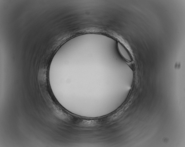 X0000096730057200803041231