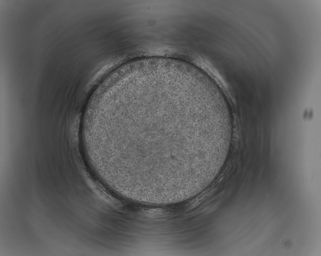 X0000096730058200803041231