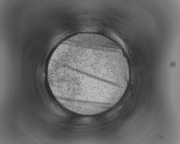 X0000096730059200803041231