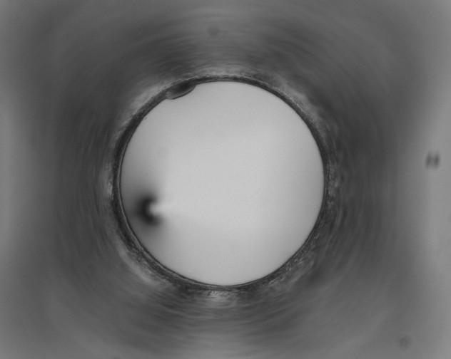 X0000096730060200803041231