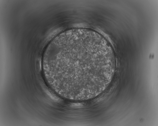 X0000096730061200803041231