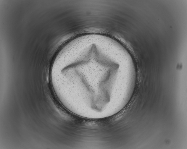 X0000096730062200803041231