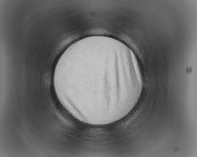 X0000096730063200803041231
