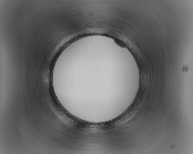 X0000096730064200803041231