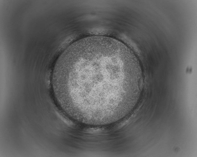 X0000096730065200803041231