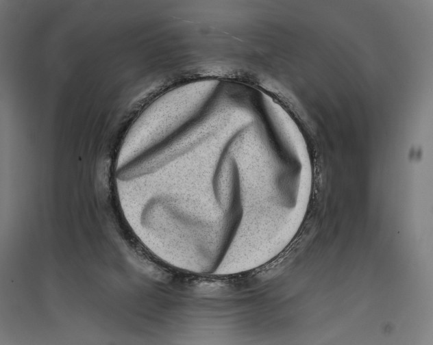 X0000096730066200803041231