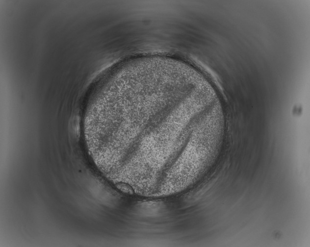 X0000096730067200803041231