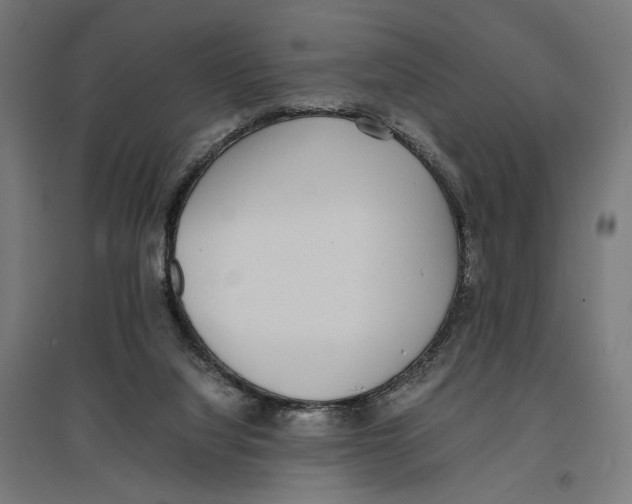 X0000096730068200803041231