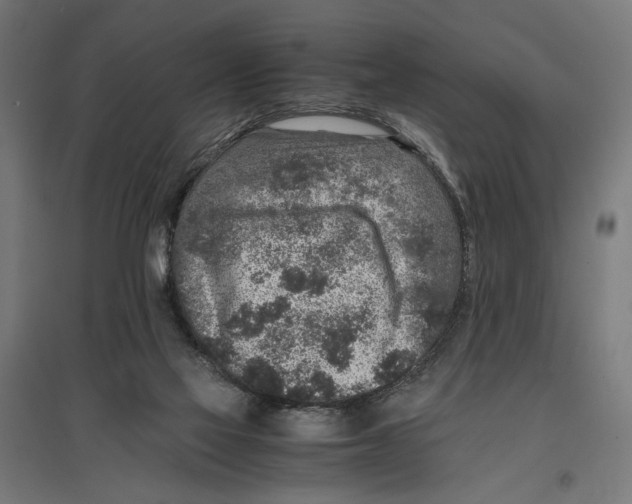 X0000096730069200803041231