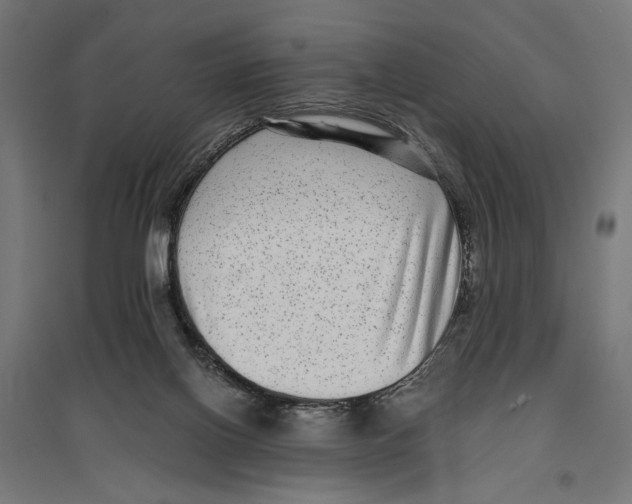 X0000096730070200803041231