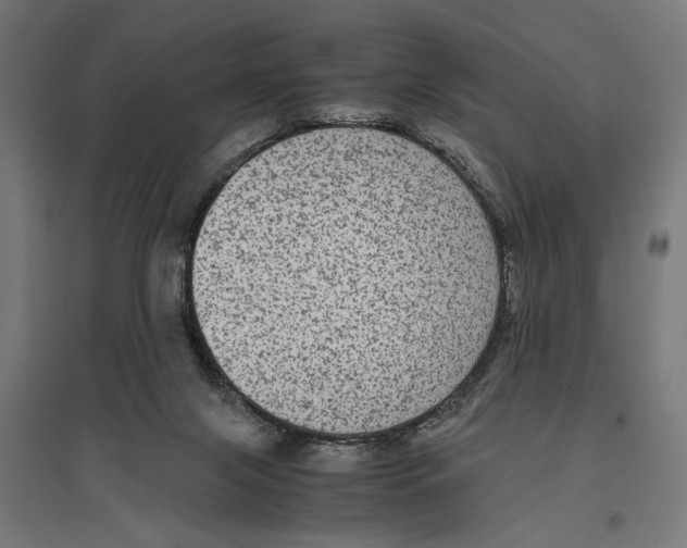 X0000096730071200803041231
