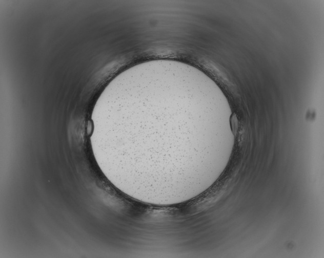 X0000096730072200803041231