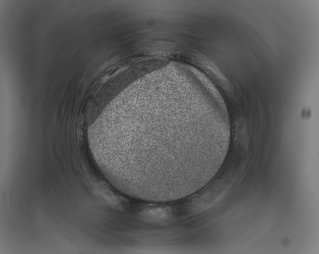 X0000096730073200803041232