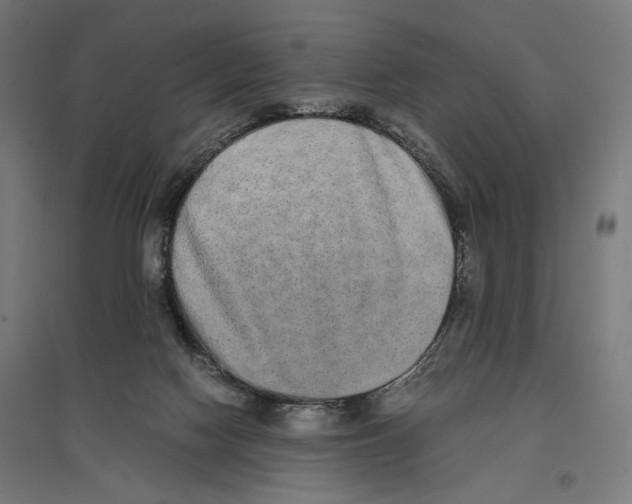 X0000096730074200803041232