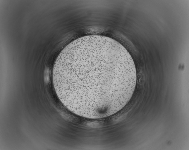 X0000096730075200803041232