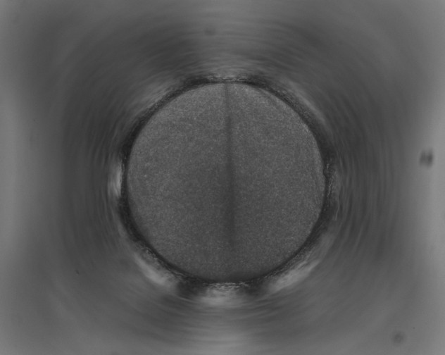 X0000096730076200803041232