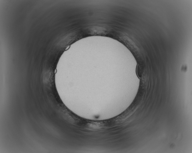 X0000096730079200803041232