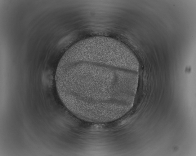X0000096730080200803041232