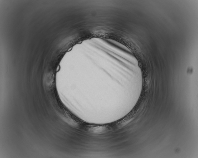 X0000096730081200803041232