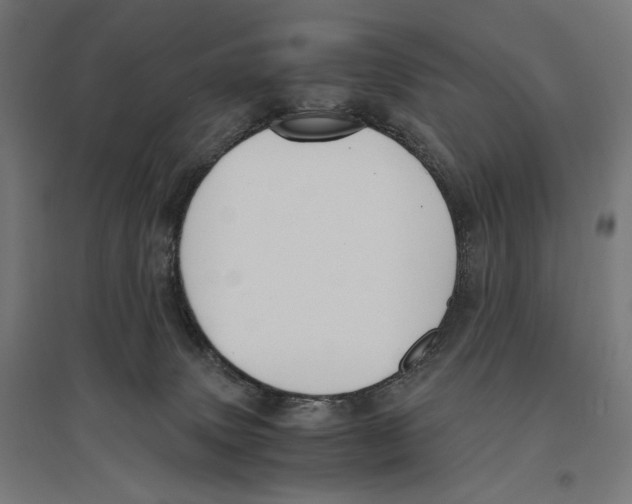 X0000096730083200803041232