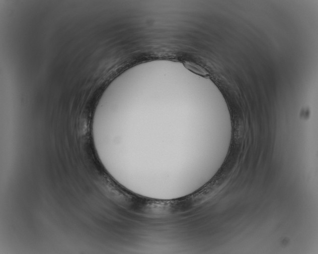 X0000096730084200803041232