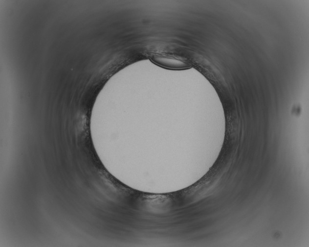 X0000096730087200803041232