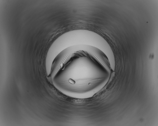 X0000096730088200803041232