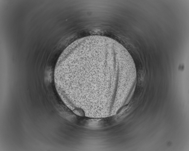 X0000096730090200803041232