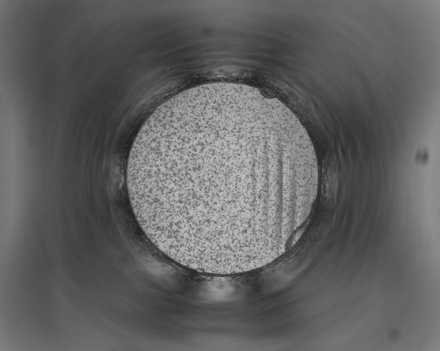 X0000096730091200803041232