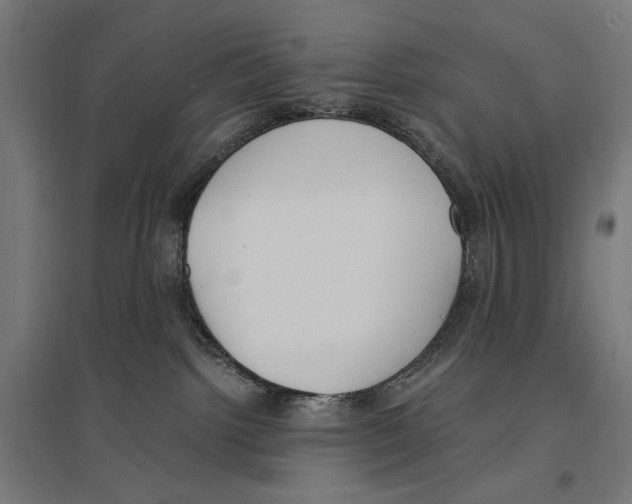 X0000096730092200803041232