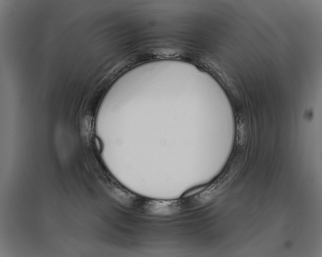 X0000096730093200803041232