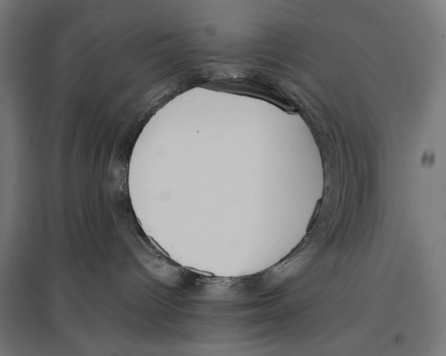 X0000096730096200803041232