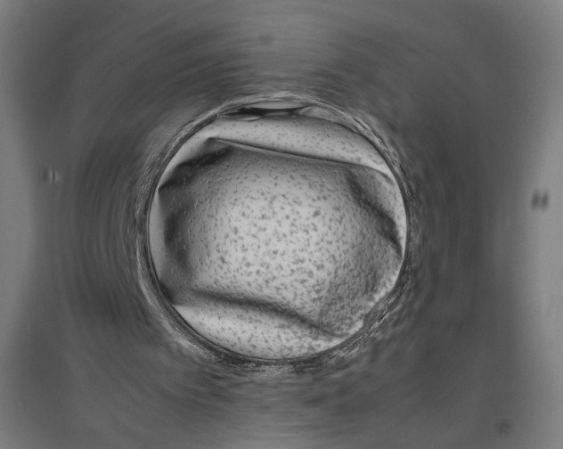 X0000096730097200803041231
