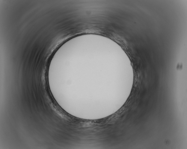 X0000096730098200803041231