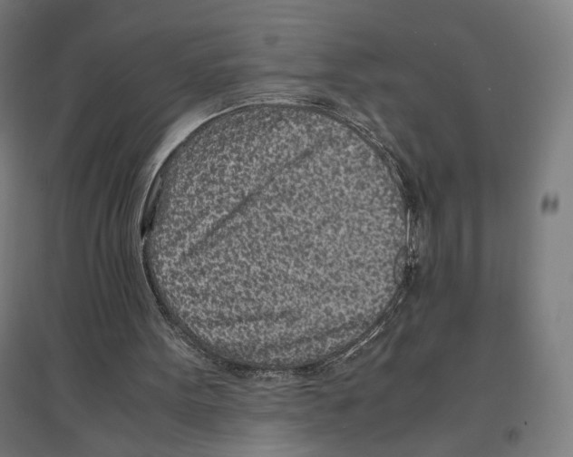 X0000096730099200803041231