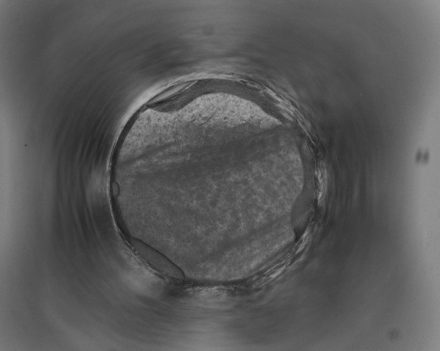 X0000096730100200803041231