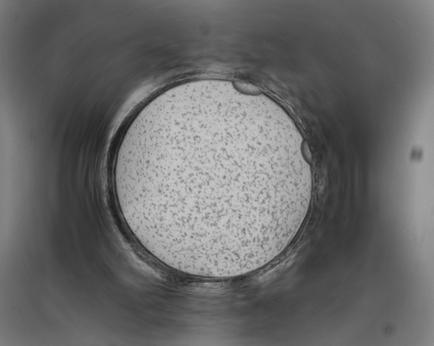X0000096730102200803041231