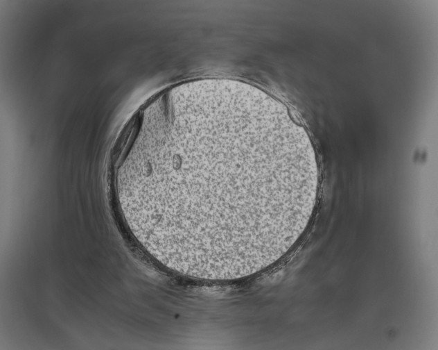 X0000096730103200803041231