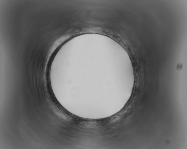 X0000096730104200803041231