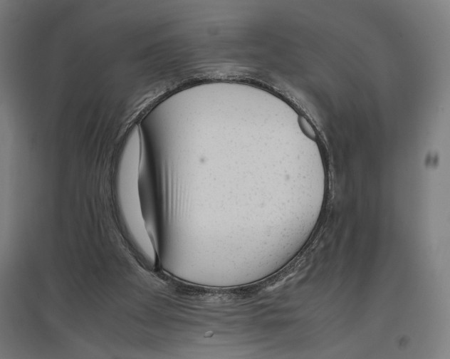 X0000096730105200803041231