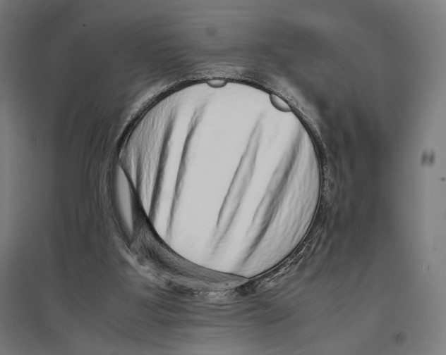 X0000096730107200803041231