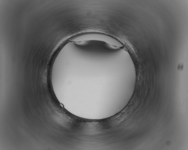 X0000096730108200803041231