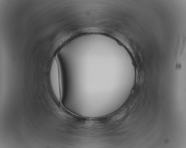 X0000096730109200803041231