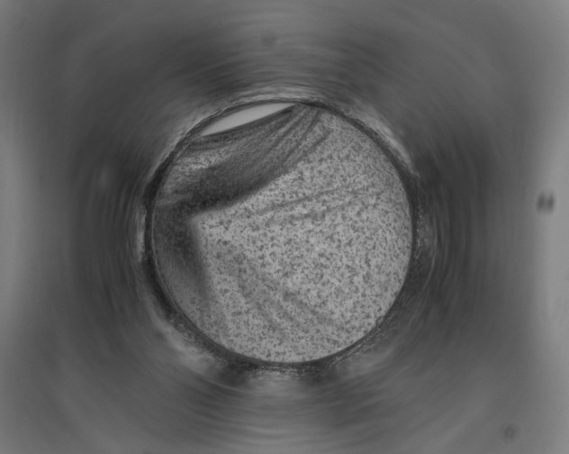 X0000096730110200803041231