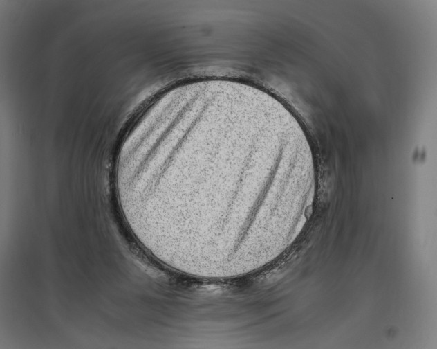 X0000096730111200803041231